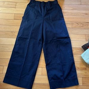 Navy j crew size TM brand new pants